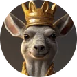 shazzy_bets